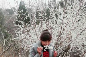 “母亲的爱——一生之恩”（从那个骑单车送我上学的早晨开始）