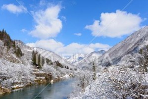 冬天的风景线（人与自然和谐共生的故事）