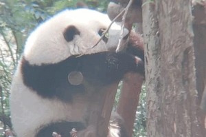 微笑的力量（温暖、关爱、幸福）