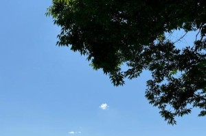 令人惬意的生活（一段与自然和谐相处的故事）