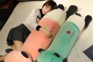 寻找小猫咪的冒险之旅（寻找小猫咪的冒险之旅）