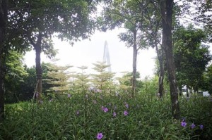 我的心中有一幅美丽的风景