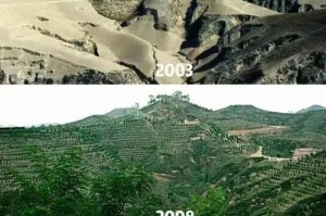 自私之心，毁灭之手（一个人物的破坏环境历程）
