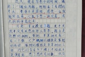 一个人的坚持，一次成功（一个人的坚持，一次成功）