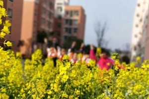 校园里的温暖（记一位师生之间感人的故事）