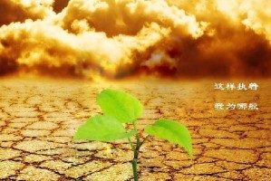 人生路上，唯有自由才是终点（人生路上，唯有自由才是终点）