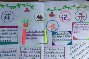 与小植物们的相遇（与小植物们的相遇）