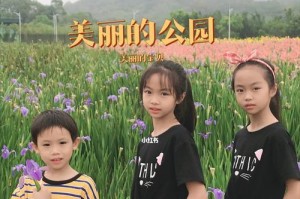 开心的上学之旅——从迷茫到成长