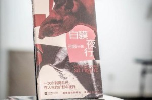 世上最好的陪伴（爱与陪伴的故事）