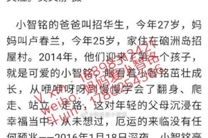 草地上的心愿（寻找被遗忘的梦想）