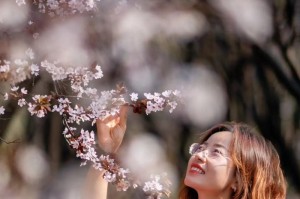 春天的气息
