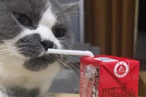 一位教师的感人故事（一位教师的感人故事）