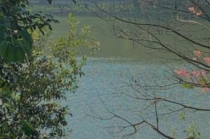 日常生活中的小确幸（平凡日子也能有精彩的点滴）
