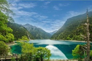 绚丽多彩的盛宴（一场奇妙的美丽之旅）