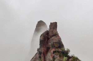 雨中的温柔（一场特别的相遇）