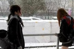 变幻莫测的冬天（寒冷的冬日，风吹雪飘，令人惊叹的美景）