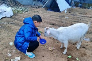 快乐的生活与人生（快乐的生活与人生）