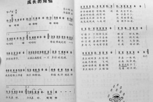 成长的窗——从小花到大花的故事