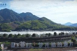 金钱到底能不能买来一切？（金钱到底能不能买来一切？）