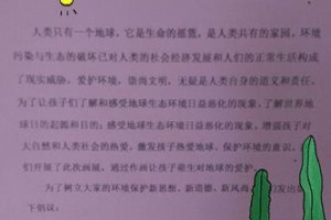 保护我们的环境（地球上的小勇士）