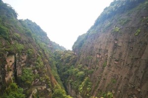那个能令人心安的眼神（那个能令人心安的眼神）