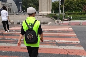 我心中的理想