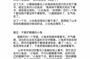 小白兔的奇幻冒险