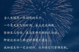 以愿时光，不老去（跨越时光的奇妙旅程）