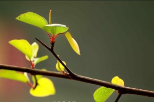 爱，是最深的感动（一次陌生人之间的相遇）