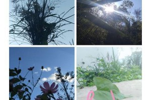 阳光下的希望（以一切皆为美好的故事）