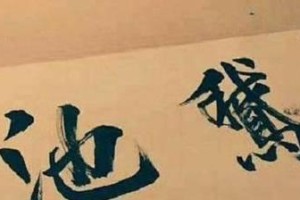 不放弃梦想的勇气（那个男孩和他的画笔）