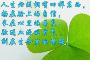 母爱的鼓励（一位母亲对儿子的无私支持）
