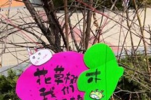 花草小保姆们（用小小的力量守护大自然）