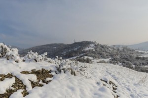 冬日故事（纷纷扬扬的雪，搅动着温暖的心情）