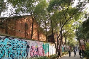 陶醉美景，熏陶我青春（一个少年与自然的邂逅）