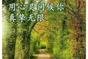 追梦路上的勇气（为梦想奋斗的故事）